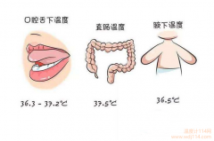 紅外線(xiàn)溫度計測哪最準？